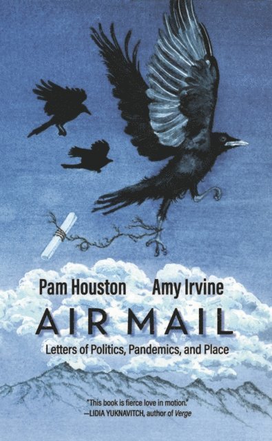 Amy Irvine, Pam Houston - Air Mail, E-bok