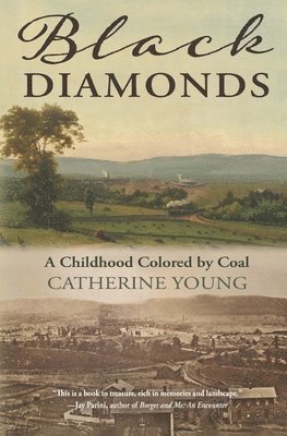 Catherine Young - Black Diamonds: A Childhood Colored by Coal, Häftad