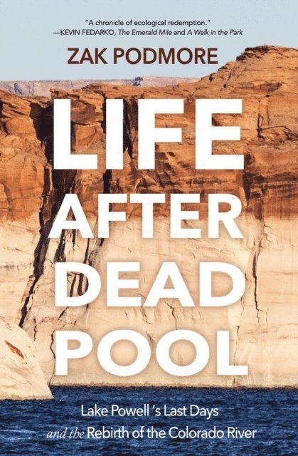 Zak Podmore - Life After Dead Pool, E-bok