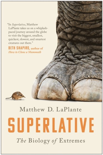 MATTHEW D. LAPLANTE - Superlative, E-bok
