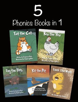 Stephanie Marie Bunt - 5 Phonics Books in 1, Häftad. Tillgänglighet: Lägg i varukorg