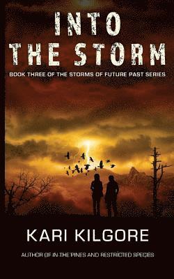 Kari Kilgore - Into the Storm, Häftad