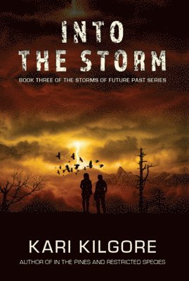 Kari Kilgore - Into the Storm, Inbunden
