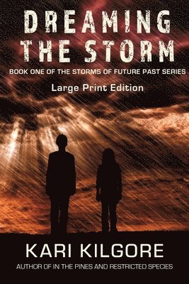 Kari Kilgore - Dreaming the Storm, Häftad