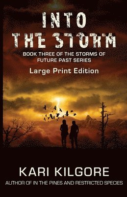 Kari Kilgore - Into the Storm, Häftad