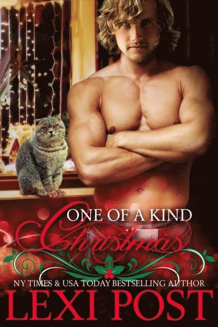 Lexi Post - One of a Kind Christmas, E-bok