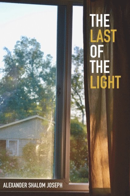 Alexander Shalom Joseph - Last of the Light, E-bok