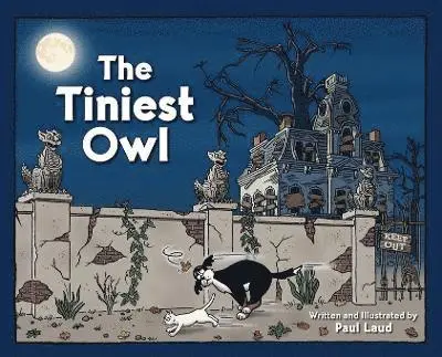 Paul Laud - Tiniest Owl, Inbunden. Tillgänglighet: Lägg i varukorg
