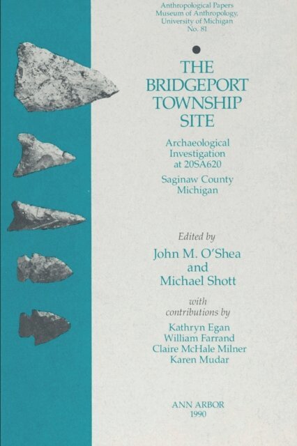 Michael Shott, John M. O'Shea - Bridgeport Township Site, E-bok