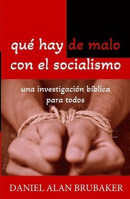 Daniel Brubaker - Qué hay de malo con el socialismo, Häftad