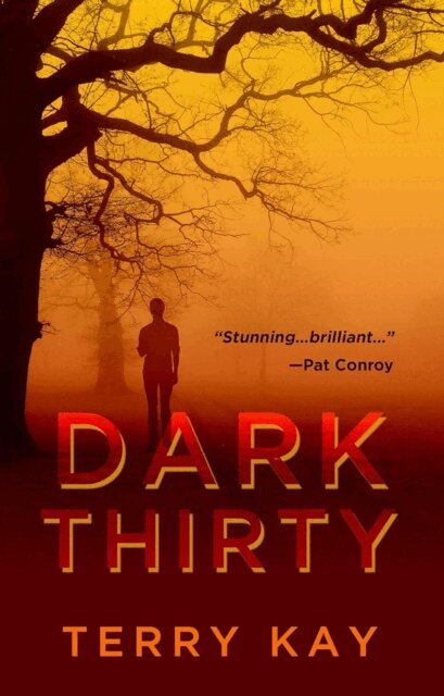Terry Kay - Dark Thirty, E-bok