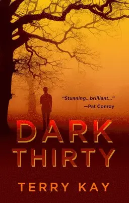 Terry Kay - Dark Thirty, Häftad. Tillgänglighet: Tillfälligt slut