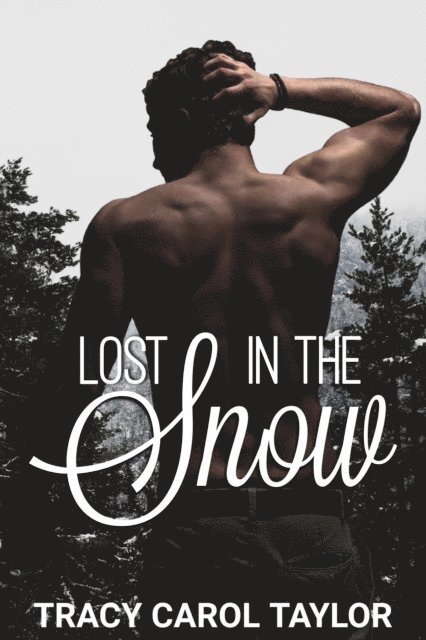 Tracy Carol Taylor - Lost in the Snow, E-bok