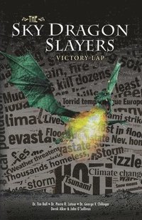 Sky Dragon Slayers