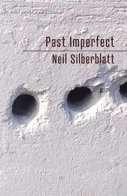 Neil Silberblatt - Past Imperfect, Häftad. Tillgänglighet: Lägg i varukorg