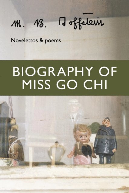 M. B. Goffstein - Biography of Miss Go Chi, E-bok