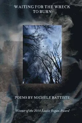 Michele Battiste - Waiting for the Wreck to Burn, Häftad. Tillgänglighet: Lägg i varukorg