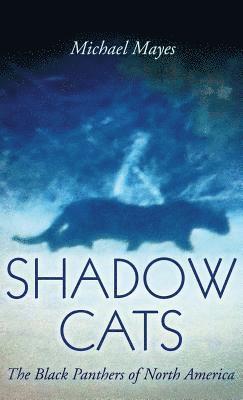 Michael Mayes - Shadow Cats, Inbunden