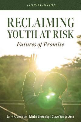 Larry K. Brendtro, Martin Brokenleg - Reclaiming Youth at Risk: Futures of Promise (Reach Alienated Youth and Break the Conflict Cycle Using the Circle of Courage), Häftad. Tillgänglighet: Lägg i varukorg