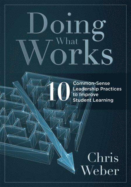 Chris Weber - Doing What Works, E-bok