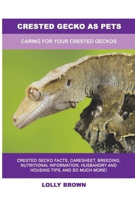 Lolly Brown - Crested Gecko as Pets, Häftad