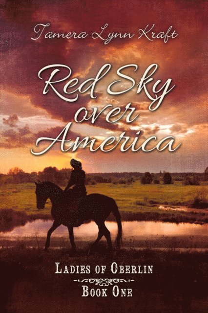 Tamera Lynn Kraft - Red Sky Over America, E-bok