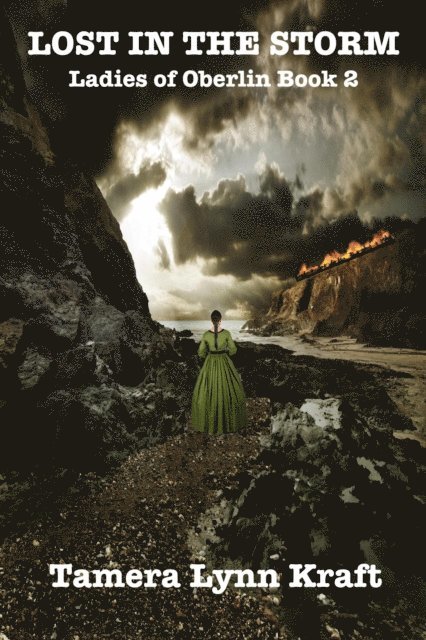 Tamera Lynn Kraft - Lost in the Storm, E-bok