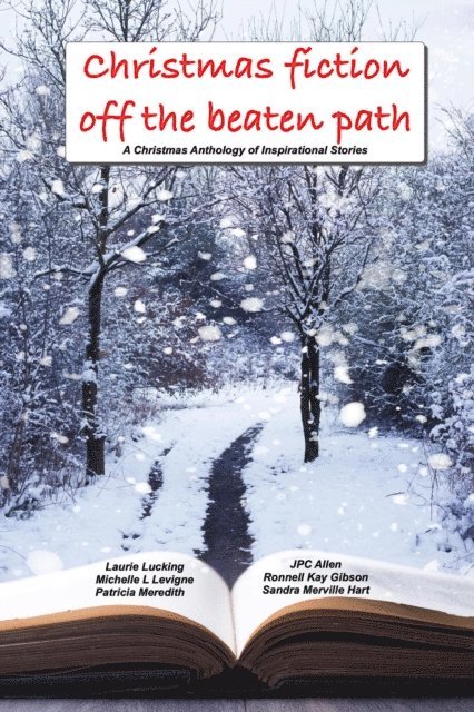 Sandra Merville Hart, Patricia Meredith, JPC Allen, Laurie Lucking, Ronnell Kay GIbson, Michelle L. Levigne - Christmas Fiction Off the Beaten Path, E-bok