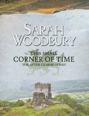 Sarah Woodbury - This Small Corner of Time, Häftad