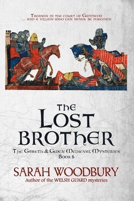 Sarah Woodbury - Lost Brother, Häftad