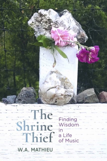 W. A. Mathieu - Shrine Thief, E-bok
