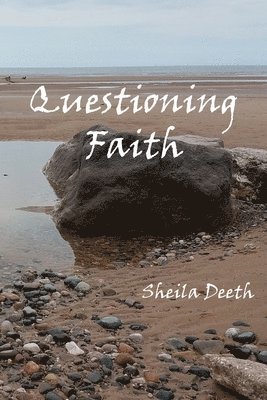 Sheila Deeth - Questioning Faith, Häftad