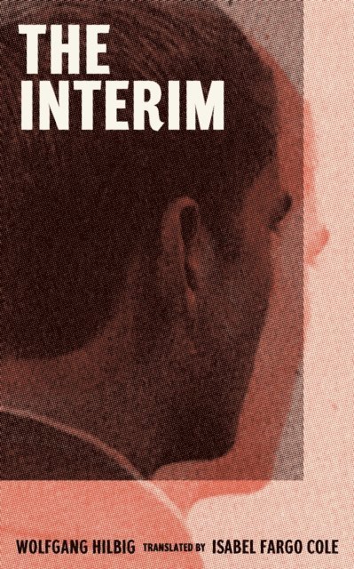 Wolfgang Hilbig - Interim, E-bok
