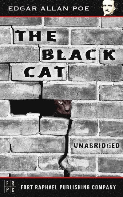 Edgar Allan Poe, Kevin Theis - Black Cat - Unabridged, E-bok