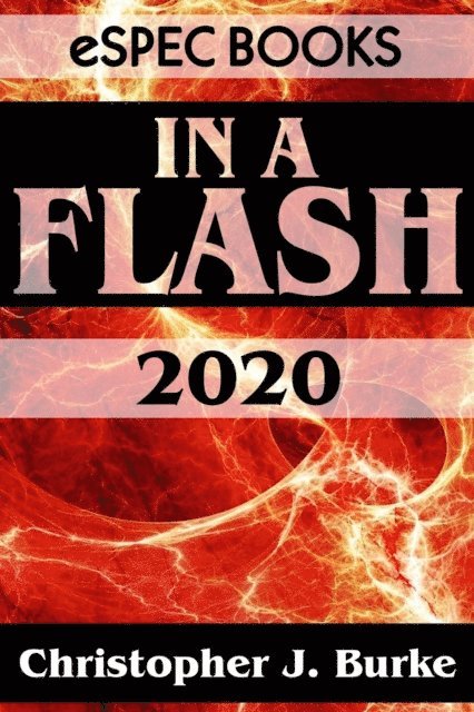 Christopher J. Burke - In a Flash 2020, E-bok