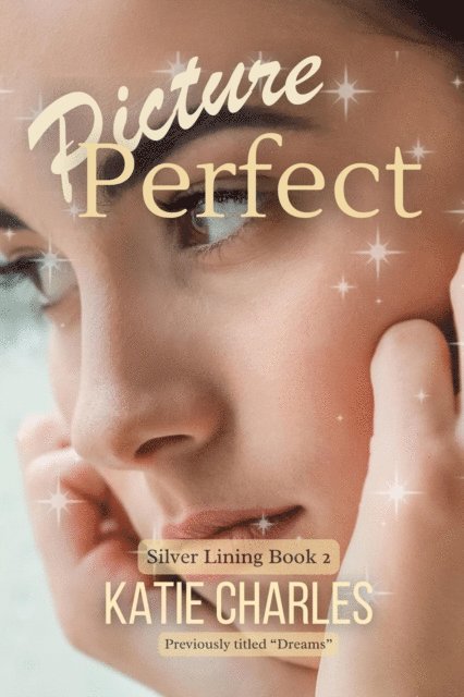 Katie Charles - Picture Perfect, E-bok