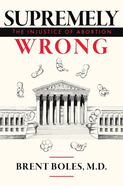 Brent Boles - Supremely Wrong, E-bok