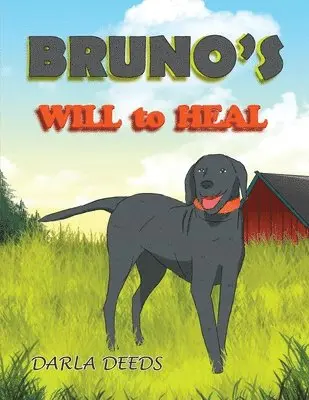 Darla Deeds - Bruno's Will to Heal, Häftad. Tillgänglighet: Lägg i varukorg