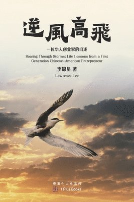 逆风高飞, Häftad