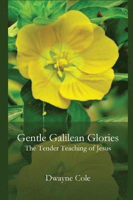 Dwayne Cole - Gentle Galilean Glories, Häftad