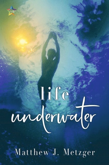 Matthew J. Metzger - Life Underwater, E-bok
