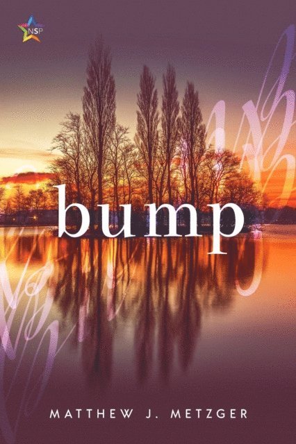 Matthew J. Metzger - Bump, E-bok