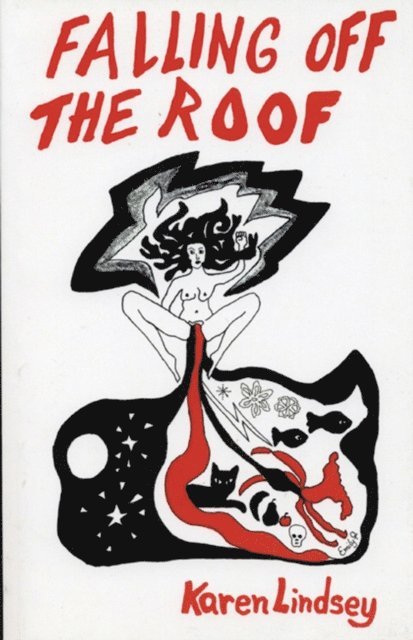 Karen Lindsey - Falling off the Roof, E-bok
