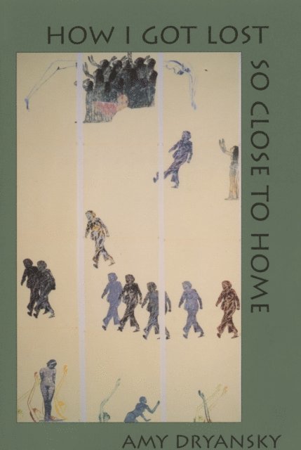 Amy Dryansky - How I Got Lost So Close to Home, E-bok