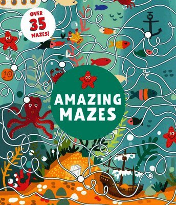Lida Danilova - Amazing Mazes: Level 2, Häftad
