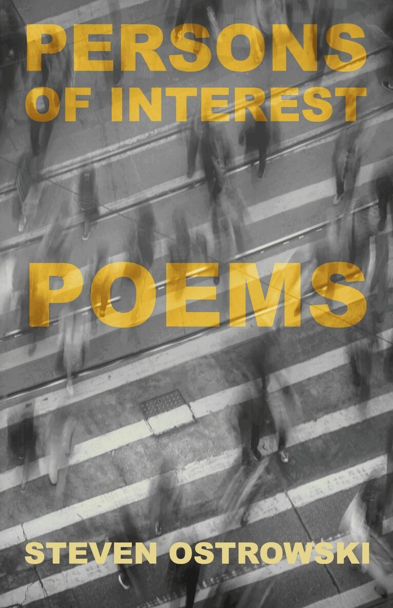 Steven Ostrowski - Persons of Interest, Häftad