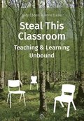 Steal This Classroom: Teaching and Learning Unbound