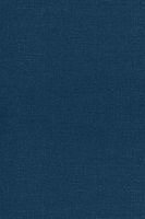 Paul A M Dirac - Principles of Quantum Mechanics, Häftad