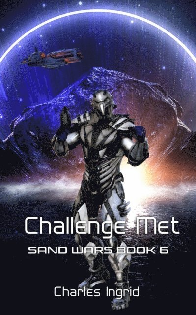 Rhondi Ann - Challenge Met, E-bok
