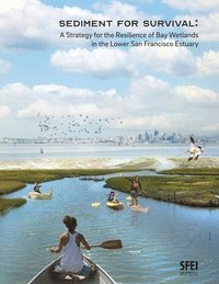 Sediment for Survival: A Strategy for the Resilience of Bay Wetlands in the Lower San Francisco Estuary
